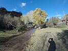 photo thumbnail #2