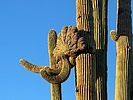 photo thumbnail #3