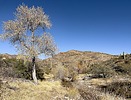 photo thumbnail #4
