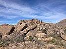 photo thumbnail #5