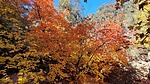 photo thumbnail #10