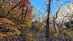 photo thumbnail #3