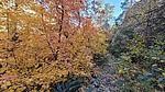 photo thumbnail #13