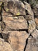 photo thumbnail #13