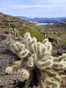 photo thumbnail #8