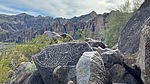 photo thumbnail #12