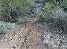 photo thumbnail #8