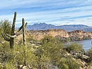photo thumbnail #4