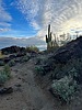 photo thumbnail #4