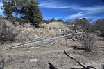 photo thumbnail #10