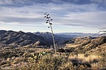 photo thumbnail #5