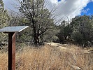 photo thumbnail #11