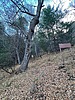 photo thumbnail #9