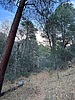 photo thumbnail #11
