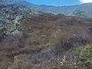 Featured Full Photo