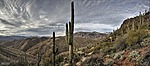 photo thumbnail #7