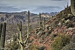 photo thumbnail #13