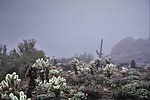 photo thumbnail #15