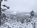 photo thumbnail #7