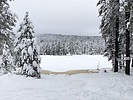 photo thumbnail #8