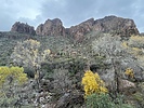 photo thumbnail #8