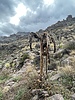 photo thumbnail #11