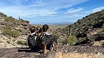 photo thumbnail #4