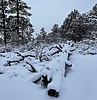 photo thumbnail #3
