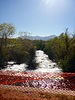 2023-01-04 :1: Maricopa Trail: PIR to Tres Rios :: kingsnake