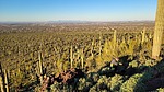 photo thumbnail #6