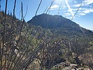 photo thumbnail #15