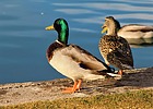 photo thumbnail #13
