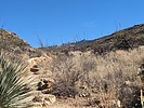 photo thumbnail #5