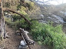 photo thumbnail #8