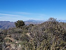 photo thumbnail #7