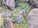 photo thumbnail #13