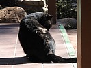 photo thumbnail #14