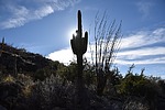 photo thumbnail #6