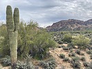 photo thumbnail #7