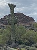 photo thumbnail #8