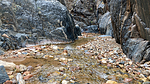 photo thumbnail #14