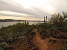 photo thumbnail #10