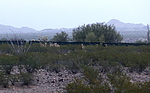 photo thumbnail #6