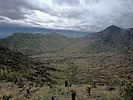 photo thumbnail #1