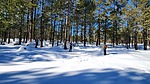 photo thumbnail #4