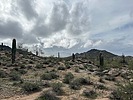 photo thumbnail #3