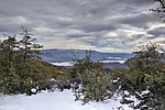 photo thumbnail #15