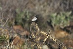 2023-01-13 :1: Andrews - Kinsey Trail MSP :: Yoder