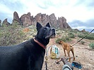 photo thumbnail #5