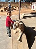 photo thumbnail #7